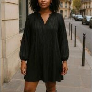 Zara Black Long-Sleeve Pleated Mini Dress